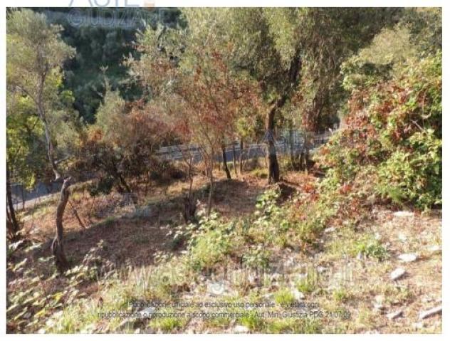 IMMOBILI-ALTRA CATEGORIA-Via Crosin del Diavolo Strada Vicinale - Foto 7