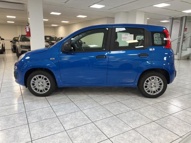 FIAT Pandina 1.0 FireFly 65cv S&S 6m Hybrid Icon - Foto 9