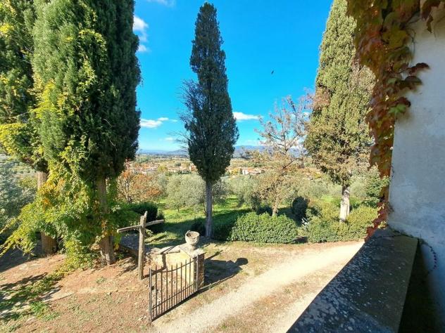 Tenuta Vivaio, Loc. Tregozzano - Rif. V185 - Foto 6