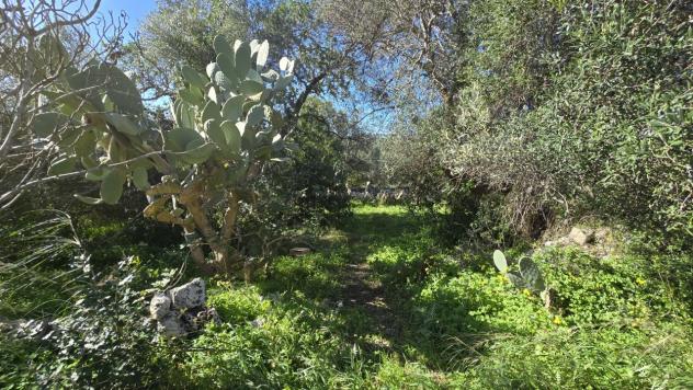 Agricolo in vendita a Siracusa - Foto 6