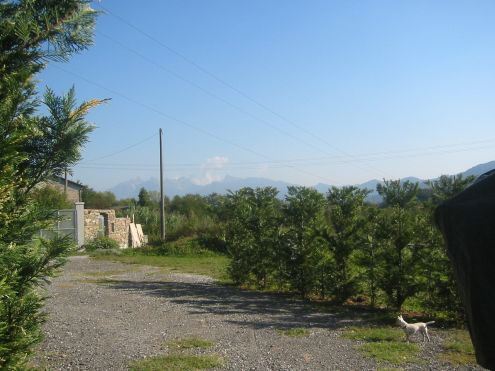 soggiorno pensione badante cani - Foto 2