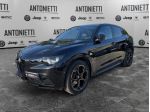 Alfa Romeo Stelvio Stelvio 2.2 turbo diesel Intensa Q4 210cv AT8