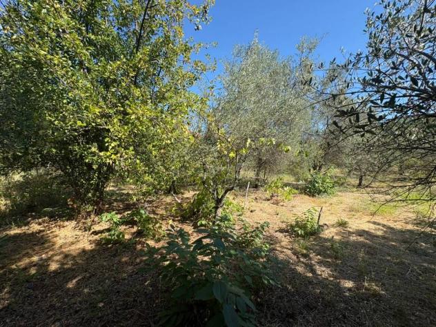 Frutteto in vendita a Piedimonte Etneo - Foto 20