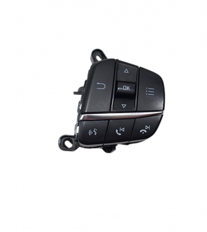 COMANDI AL VOLANTE MULTIFUNZIONE FORD Kuga Serie (DFK) H1BT-14K147-AB (19)