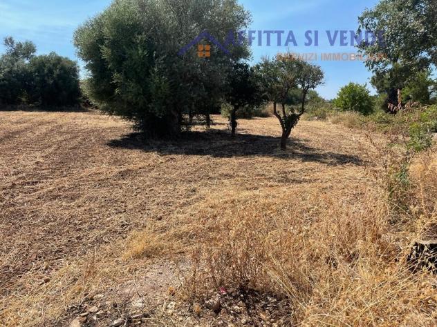 Agricolo in vendita a Siracusa - Foto 13