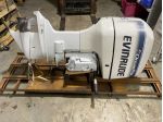 evinrude 225 HP 1998 motore da barca