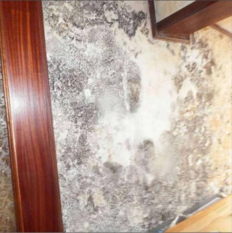 Immobile in asta di 105 m², box auto in vendita a Sutri - Foto 15