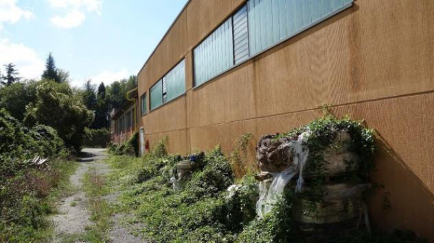 Immobile in asta di 4586 m² in vendita a Gualdo Tadino - Foto 9