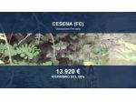 Immobile in asta di 73834 m² in vendita a Cesena