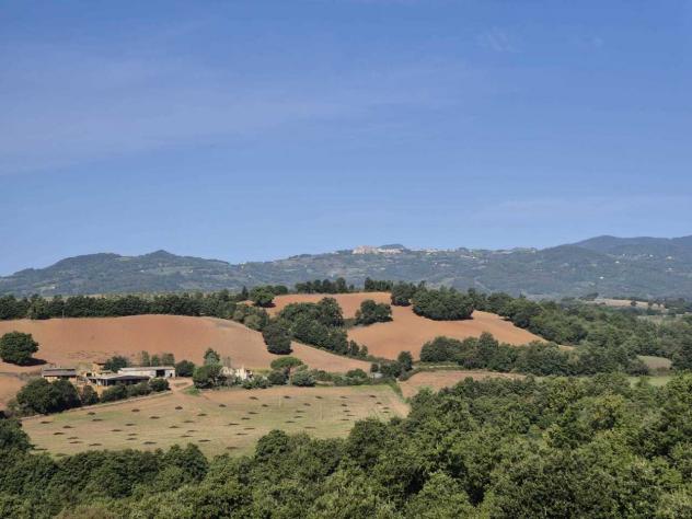 Seminativo in vendita a Civitella Paganico