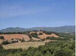 Seminativo in vendita a Civitella Paganico