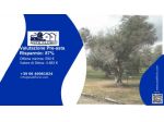 Immobile in asta di 3815 m² in vendita a Scorrano
