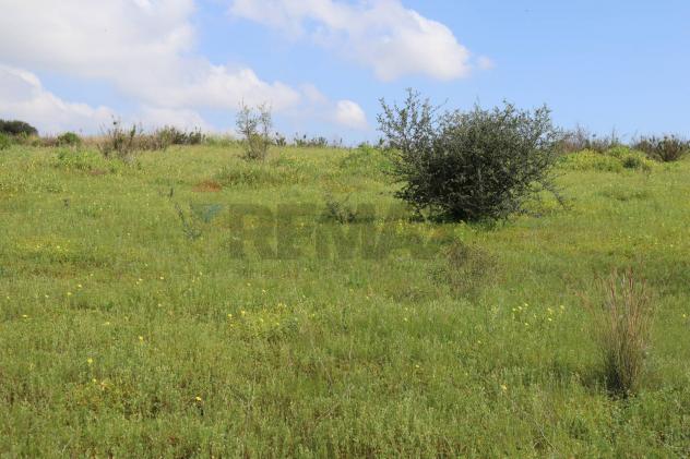 Terreno in vendita a Vittoria - Foto 4