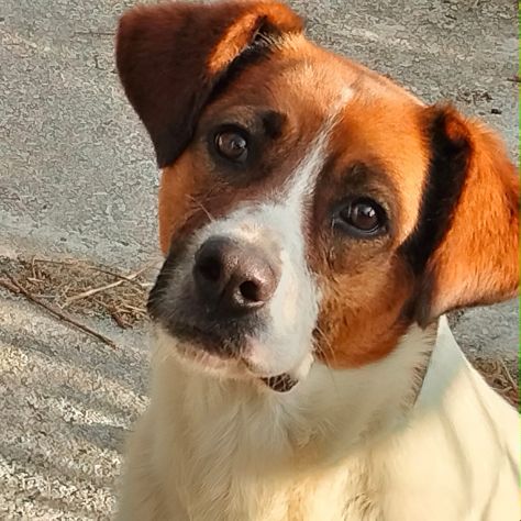 ALMA - Foto 4