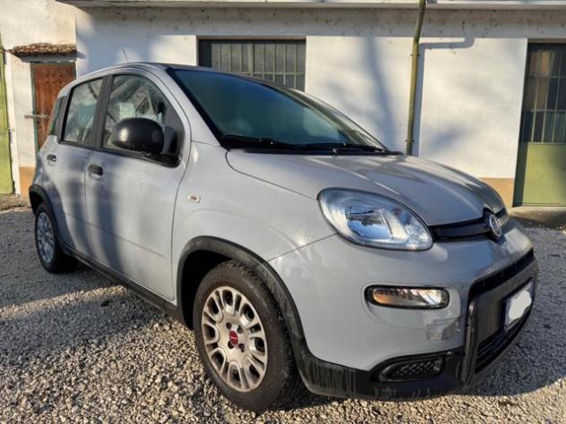 FIAT New Panda IN PROMOZIONE!!!!1.0 FireFly S&S Hybrid rif. 23984274 - Foto 3