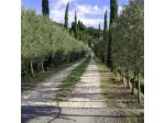 Societa' Agricola Giuncheto S.S.