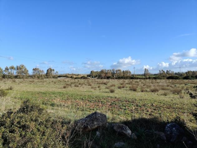 Sassari vendesi terreno agricolo 17043 Mq - Foto 2