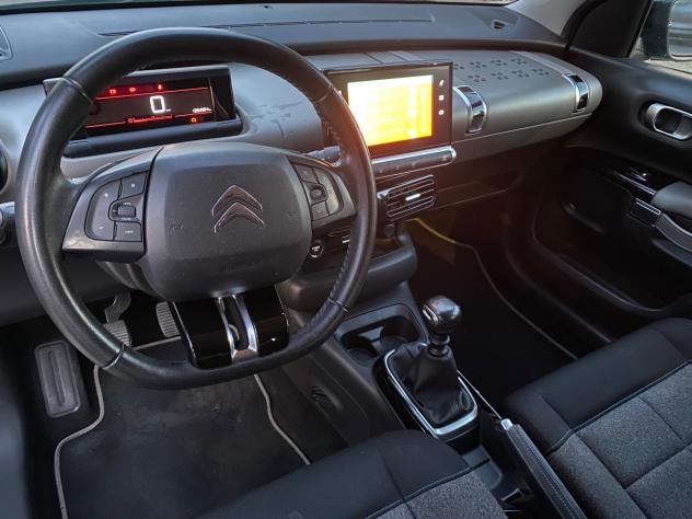 Citroen C4 CACTUS - Foto 9