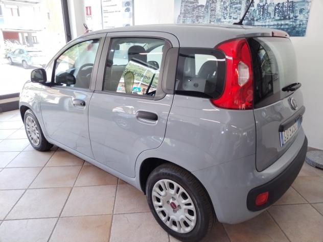 Fiat Panda 1.0 FireFly S&S Hybrid - Foto 6