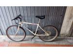 mtb da donna