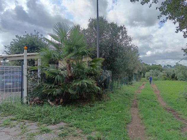 Terratetto in vendita a Orentano - Castelfranco di Sotto 200 mq Rif: 1347469 - Foto 9