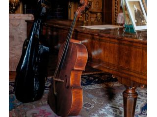 Lezioni di pianoforte al vostro domicilio ad Assago