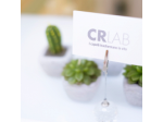 Crlab Como