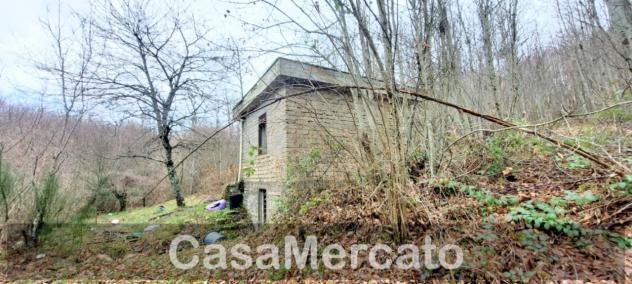Rustico in vendita a Rocca di Papa - Foto 4