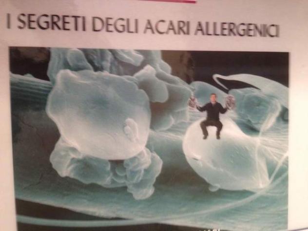 Acari allergeni e i loro segreti - Foto 3