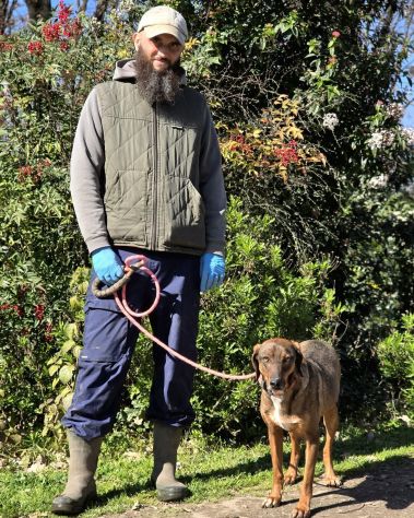 Magnifico MELAMPO mix segugio CANE IN ADOZIONE - Foto 8