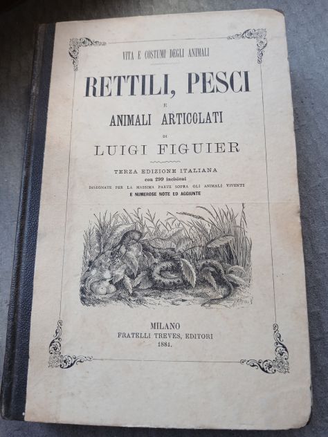 RETTILI, PESCI E ANIMALI ARTICOLATI, Ed. F.lli Treves 1891.