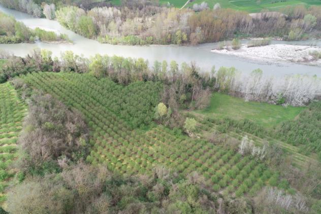 Agricolo in vendita a Cherasco - Foto 19