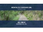 Immobile in asta di 29000 m² in vendita a Montalto Carpasio