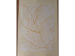 Quadro "Venature di foglie "