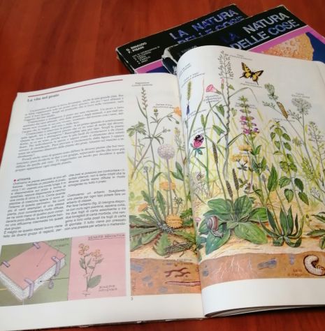 La Natura delle Cose corso di Scienze per le Medie in tre Volumi 1983 - Foto 4