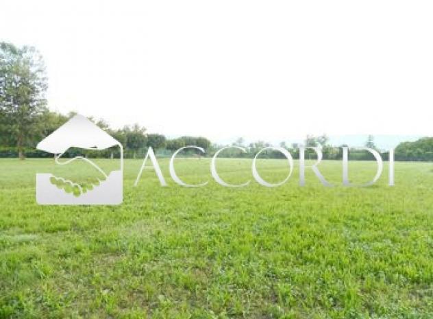 AREA EDIFICABILE di 1250 mq (TREVIGNANO) rif. DG339 - Foto 9