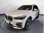 BMW X5 xdrive25d xLine auto