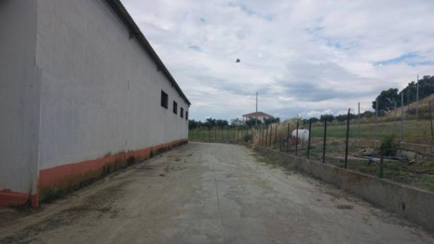 Immobile in asta di 3800 m² in vendita a Crotone - Foto 2