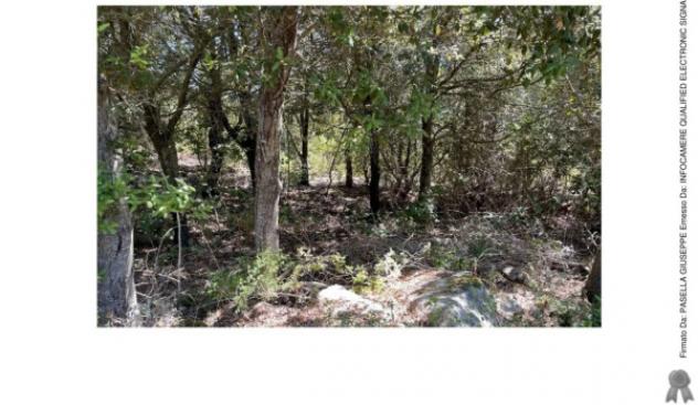 Immobile in asta di 53 m² in vendita a Luras - Foto 4