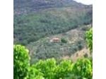 Agriturismo Spina Rossa