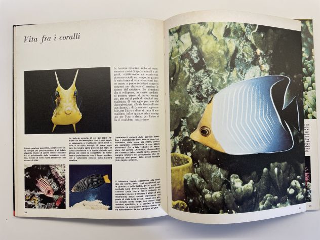 Il mare e le acque interne, Federica Colombo - Foto 4