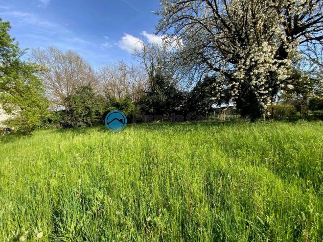 NOVENTA CENTRO: indipendente con giardino 1500 mq. - Foto 5