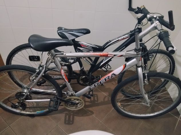 Due bici da maschio