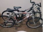 Due bici da maschio