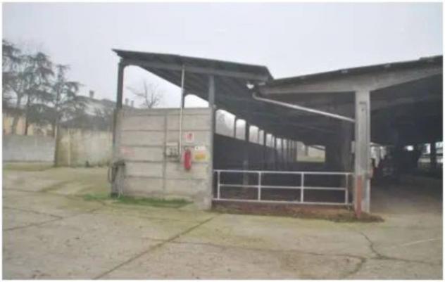 Immobile in asta di 80000 m² in vendita a Castelvisconti - Foto 11