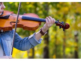 Violinista professionista per eseguire musica a matrimoni ed eventi Lodi