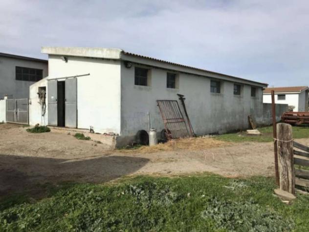 Immobile in asta di 1700 m² in vendita a Nulvi - Foto 2
