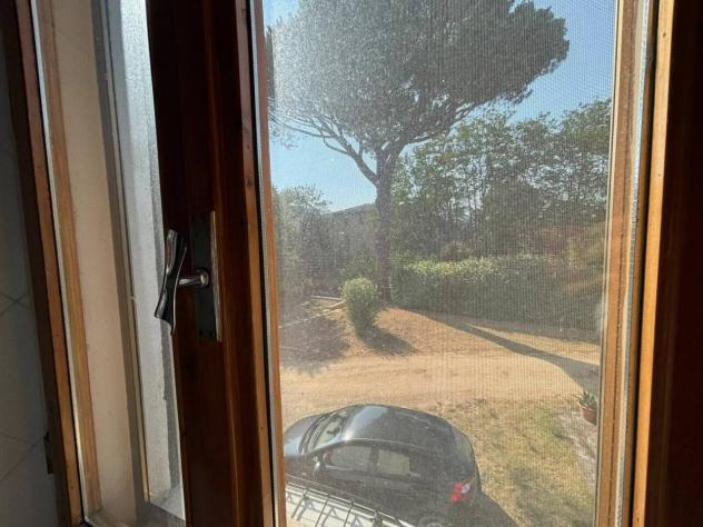 Trilocale in affitto a Sovicille - Foto 18