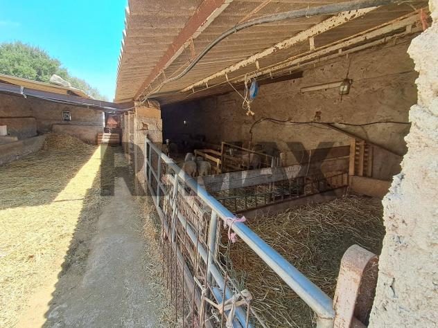 Cascina/Casale in vendita a Santa Croce Camerina - Foto 14