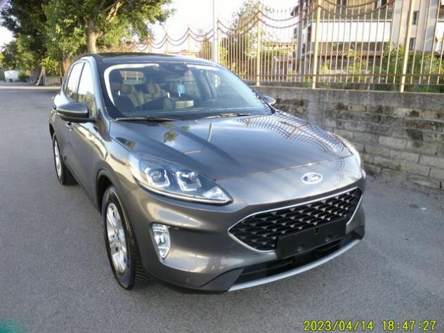 FORD Kuga 1.5 EcoBlue 120 CV aut. 2WD Titanium Business rif. 24081509
